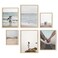 HAUS AND HUES Natural Wood Picture Frames Set of 6 Frame Sets for Wall Collage Gallery Wall Frame Set Assorted Picture Frame Sets for Wall Collage Two 8x10 Two 11x14 Two 12x16 Beige Frame