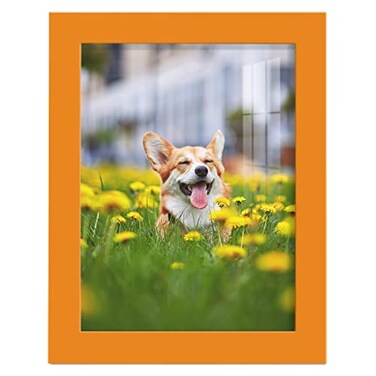 Renditions Gallery 6x8 inch Picture Frame Highend Modern Style Made of Solid Wood and High Definition Glass Ready for Wall and Tabletop Photo Display Orange Frame