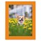 Renditions Gallery 6x8 inch Picture Frame Highend Modern Style Made of Solid Wood and High Definition Glass Ready for Wall and Tabletop Photo Display Orange Frame