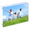PITBVO Acrylic Picture Frame 4x6 In Clear Photo DoubleSided Frames Magnetic Photo Frame 1010MM Thickness Clear Picture Frame Photo Frame Stand DoubleSided Acrylic Frame