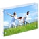 PITBVO Acrylic Picture Frame 4x6 In Clear Photo DoubleSided Frames Magnetic Photo Frame 1010MM Thickness Clear Picture Frame Photo Frame Stand DoubleSided Acrylic Frame