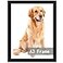 RUN HELIX A3 Picture Frame Black for Wall Hanging Wall Mounting Horizontally or Vertically 117 x 165 inch Wall Gallery Poster Photo Frame with Durable Shatter Resistant Plexiglass Black