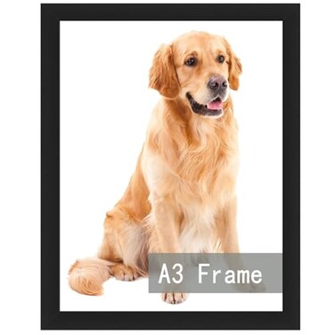 RUN HELIX A3 Picture Frame Black for Wall Hanging Wall Mounting Horizontally or Vertically 117 x 165 inch Wall Gallery Poster Photo Frame with Durable Shatter Resistant Plexiglass Black