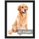 RUN HELIX A3 Picture Frame Black for Wall Hanging Wall Mounting Horizontally or Vertically 117 x 165 inch Wall Gallery Poster Photo Frame with Durable Shatter Resistant Plexiglass Black