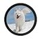 kfeity Round Photo Frame Stylish Circle Wooden Wall Hanging Picture Frames for Home Office Wall Decor Black10 inch