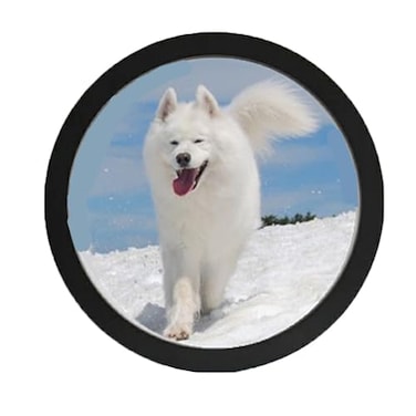 kfeity Round Photo Frame Stylish Circle Wooden Wall Hanging Picture Frames for Home Office Wall Decor Black10 inch