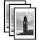 Wiscet 20x30 Picture Frame Set of 3 Display Pictures 18x24 with Mat or 20 x 30 Poster Frame without Mat Wall Gallery Photo Frames Black