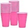 Party Dimensions Disposable Plastic Party Cups 12 oz Hot Pink Pack of 20
