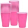 Party Dimensions Disposable Plastic Party Cups 12 oz Hot Pink Pack of 20