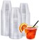 NYHI 100 Pack 9 oz Clear Plastic Cups Disposable Cocktail Bulk Wine Cups for Drinks Punch Champagne Dessert Essential Party Supplies 9oz