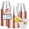 JOLLY CHEF 100 Pack Rose Gold Plastic Cups 9 oz Clear Plastic Tumblers Elegant Rose Gold Rimmed Cups Disposable Glasses for Wedding Thanksgiving Day Christmas Party