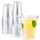 Eupako 12 oz Plastic Cups with Lids 100 Sets Clear Disposable Plastic Party Cups with Flat Lids to Go for Cold Drink Smoothie Milkshake