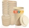 ECO SOUL 50 Pack 16 oz Disposable Coffee Cups with Lids EcoFriendly Biodegradable Compostable Leakfree Sturdy To Go Hot Drink Cup for Tea Chocolate Party Travel Cafe Office Home