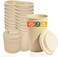 ECO SOUL 50 Pack 16 oz Disposable Coffee Cups with Lids EcoFriendly Biodegradable Compostable Leakfree Sturdy To Go Hot Drink Cup for Tea Chocolate Party Travel Cafe Office Home