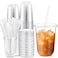 Ziliny 50 Sets Clear Plastic Cups with Lids and Straws Disposable Iced Coffee Cups Drinking PET for Cold Drinks Juice Smoothie Coffee Shops Party Christmas 16 ozClear