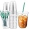 Baderke 25 Set Plastic Cups with Lids and Straws Disposable Plastic Iced Coffee Cup for Cold Beverage Juice Smoothie Crystal for Coffee Shops Party CateringClear16 oz
