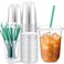 Baderke 25 Set Plastic Cups with Lids and Straws Disposable Plastic Iced Coffee Cup for Cold Beverage Juice Smoothie Crystal for Coffee Shops Party CateringClear16 oz