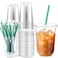 Baderke 25 Set Plastic Cups with Lids and Straws Disposable Plastic Iced Coffee Cup for Cold Beverage Juice Smoothie Crystal for Coffee Shops Party CateringClear16 oz