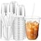 Ziliny 100 Sets Clear Plastic Cups with Lids and Straws Disposable Iced Coffee Cups Clear Drinking Cups for Cold Drinks Juice Smoothie Pet Cup for Coffee Shops Party Christmas16 oz