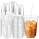 Ziliny 100 Sets Clear Plastic Cups with Lids and Straws Disposable Iced Coffee Cups Clear Drinking Cups for Cold Drinks Juice Smoothie Pet Cup for Coffee Shops Party Christmas16 oz