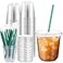 Baderke 25 Set Plastic Cups with Lids and Straws Disposable Plastic Iced Coffee Cup for Cold Beverage Juice Smoothie Crystal for Coffee Shops Party CateringClear12 oz
