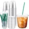 Baderke 25 Set Plastic Cups with Lids and Straws Disposable Plastic Iced Coffee Cup for Cold Beverage Juice Smoothie Crystal for Coffee Shops Party CateringClear12 oz