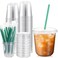 Baderke 25 Set Plastic Cups with Lids and Straws Disposable Plastic Iced Coffee Cup for Cold Beverage Juice Smoothie Crystal for Coffee Shops Party CateringClear12 oz