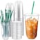 Baderke 25 Set Plastic Cups with Lids and Straws Disposable Plastic Iced Coffee Cup for Cold Beverage Juice Smoothie Crystal for Coffee Shops Party CateringClear18 oz