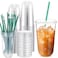 Baderke 25 Set Plastic Cups with Lids and Straws Disposable Plastic Iced Coffee Cup for Cold Beverage Juice Smoothie Crystal for Coffee Shops Party CateringClear18 oz