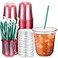 Baderke 25 Set Plastic Cups with Lids and Straws Disposable Plastic Iced Coffee Cup for Cold Beverage Juice Smoothie Crystal for Coffee Shops Party CateringPink12 oz