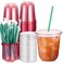Baderke 25 Set Plastic Cups with Lids and Straws Disposable Plastic Iced Coffee Cup for Cold Beverage Juice Smoothie Crystal for Coffee Shops Party CateringPink12 oz
