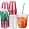 Baderke 25 Set Plastic Cups with Lids and Straws Disposable Plastic Iced Coffee Cup for Cold Beverage Juice Smoothie Crystal for Coffee Shops Party CateringPink12 oz