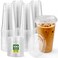 Glotoch Express Clear Plastic Cups with Lids 100 Sets 24oz Disposable Crystal Iced Coffee Cups Strawless Sip Lids BPA Free Sturdy To Go Cup for Smoothie Cold Drinks Juice Party Wedding Event