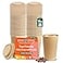 ECO SOUL 100 Pack 16 oz Disposable Coffee Cups with Lids EcoFriendly Biodegradable Compostable Leakfree Sturdy To Go Hot Drink Cup for Tea Chocolate Party Travel Cafe Office Home