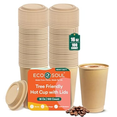 ECO SOUL 100 Pack 16 oz Disposable Coffee Cups with Lids EcoFriendly Biodegradable Compostable Leakfree Sturdy To Go Hot Drink Cup for Tea Chocolate Party Travel Cafe Office Home