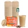 ECO SOUL 100 Pack 16 oz Disposable Coffee Cups with Lids EcoFriendly Biodegradable Compostable Leakfree Sturdy To Go Hot Drink Cup for Tea Chocolate Party Travel Cafe Office Home