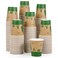 ECOLipak 300 Count Compostable Paper Cups 8 oz Biodegradable Disposable Paper Coffee Cups with PLA Lined Eco friendly Hot Drinking Cups for Party PicnicTraveland Events