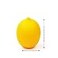 AISIBO Lemon Storage Containers Lime Saver Fresh Set and Line Lime Saver Fresh Keeper Fruit Storage Holder for Fridge