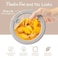 Bentgo Signature LeakProof Glass Food Storage 4Piece Set 1Compartment PlasticFree Containers with Airtight Glass Lids BPAFree Microwave Freezer Oven Dishwasher Safe White Stone