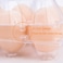 BULKBUY Egg Cartons 60 Packs Clear Plastic Blank Egg Cartons with Free Labels Holds up to 12 Eggs Securely Perfect for Family Pasture Farm Markets Display Medium