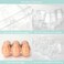 DAJAVE 100 Pack Plastic Egg Cartons Bulk 2x3 Egg Holders Style Holds up for 6 Eggs Half Dozen Egg Carton for Family Pasture Farm Markets DisplayMedium