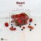 JAK Industrial 75 Pack Quart BerryProduce Basket Vented Plastic Containers for Tomatoes Peppers Grapes Clementines