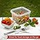 NYHI 16 oz Deli Containers with Lids 20 Pack Square Clear Plastic Containers with Lids BPA Free Airtight Soup Containers with Lids for Meal Prep Take Out Food Storage