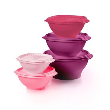 Tupperware Heritage Collection New 10 Piece Food Storage Container Set in Vintage Pink Dishwasher Safe and BPA Free 5 Bowls 5 Lids