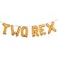RUIANSI TWO REX Dinosaur 2nd Birthday Party Decorations Letter Balloons Supplies Orange