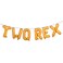 RUIANSI TWO REX Dinosaur 2nd Birthday Party Decorations Letter Balloons Supplies Orange