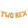 RUIANSI TWO REX Dinosaur 2nd Birthday Party Decorations Letter Balloons Supplies Orange