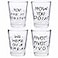 Silver Buffalo Friends Iconic Quotes Youre My Lobster How You Doin Pivot and We Were On A Break 4 Pack Mini Glasses 15 Ounces