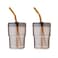 BLUEPOLAR 13oz400ml Glass Tumbler Water Cup with Straw and Lid Sealed Carry on for Coffee Iced Tea Thick Wall Insulated Amber 2Pack