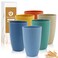 BUSOKIP Wheat Straw Cups 20 OZ Large Capacity Set of 6 Unbreakable Drinking Cups Reusable Alternative to Plastic Cups Reusable Dishwasher Safe Water Tumblers Multicolor